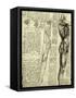 Da Vinci's Man Machine-Leonardo da Vinci-Framed Stretched Canvas