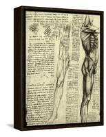 Da Vinci's Man Machine-Leonardo da Vinci-Framed Stretched Canvas