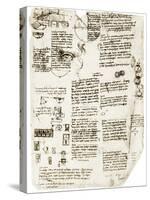 Da Vinci's Notebook-Library of Congress-Stretched Canvas