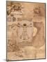 Da Vinci-Maria Trad-Mounted Giclee Print
