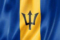 Barbados Flag-daboost-Art Print