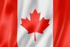 Canadian Flag-daboost-Art Print