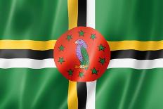 Dominica Flag-daboost-Art Print