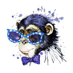 Chimpanzee Poster Prints Paintings Wall Art For Sale