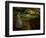 Dabspot-Lynne Davies-Framed Photographic Print