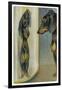 Dachshund Admires Its Reflection in a Distorting Mirror-null-Framed Art Print