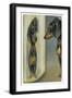 Dachshund Admires Its Reflection in a Distorting Mirror-null-Framed Art Print