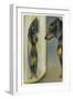 Dachshund Admires Its Reflection in a Distorting Mirror-null-Framed Art Print