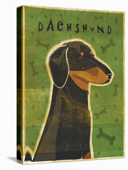 Dachshund (black and tan)-John W Golden-Stretched Canvas