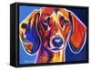 Dachshund - Bubbs-Dawgart-Framed Stretched Canvas