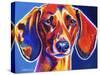 Dachshund - Bubbs-Dawgart-Stretched Canvas