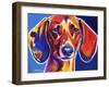 Dachshund - Bubbs-Dawgart-Framed Giclee Print