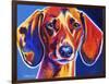 Dachshund - Bubbs-Dawgart-Framed Giclee Print