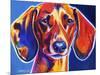 Dachshund - Bubbs-Dawgart-Mounted Giclee Print