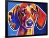 Dachshund - Bubbs-Dawgart-Framed Giclee Print