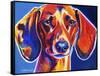 Dachshund - Bubbs-Dawgart-Framed Stretched Canvas