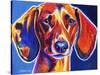 Dachshund - Bubbs-Dawgart-Stretched Canvas