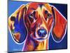 Dachshund - Bubbs-Dawgart-Mounted Giclee Print