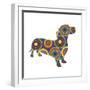 Dachshund Circles-Ron Magnes-Framed Giclee Print