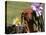 Dachshund Dog Amongst Flowers, USA-Lynn M. Stone-Stretched Canvas
