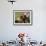 Dachshund Dog Amongst Flowers, USA-Lynn M. Stone-Framed Photographic Print displayed on a wall
