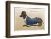 Dachshund Dressed as a Man-null-Framed Photographic Print