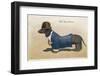 Dachshund Dressed as a Man-null-Framed Photographic Print