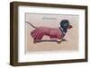 Dachshund Dressed as a Woman-null-Framed Photographic Print