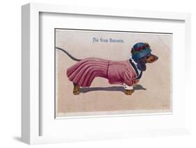 Dachshund Dressed as a Woman-null-Framed Photographic Print