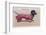 Dachshund Dressed as a Woman-null-Framed Photographic Print