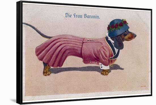 Dachshund Dressed as a Woman-null-Framed Stretched Canvas