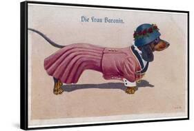 Dachshund Dressed as a Woman-null-Framed Stretched Canvas
