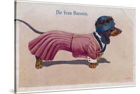 Dachshund Dressed as a Woman-null-Stretched Canvas