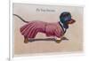 Dachshund Dressed as a Woman-null-Framed Photographic Print