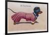 Dachshund Dressed as a Woman-null-Framed Photographic Print