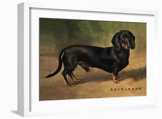 Dachshund Earl Satin-null-Framed Art Print