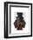 Dachshund, Formal Hound and Hat-Fab Funky-Framed Art Print