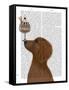 Dachshund, Gold, Ice Cream-Fab Funky-Framed Stretched Canvas