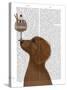 Dachshund, Gold, Ice Cream-Fab Funky-Stretched Canvas