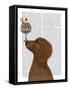 Dachshund, Gold, Ice Cream-Fab Funky-Framed Stretched Canvas