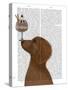 Dachshund, Gold, Ice Cream-Fab Funky-Stretched Canvas