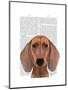 Dachshund Illustration Plain-Fab Funky-Mounted Art Print