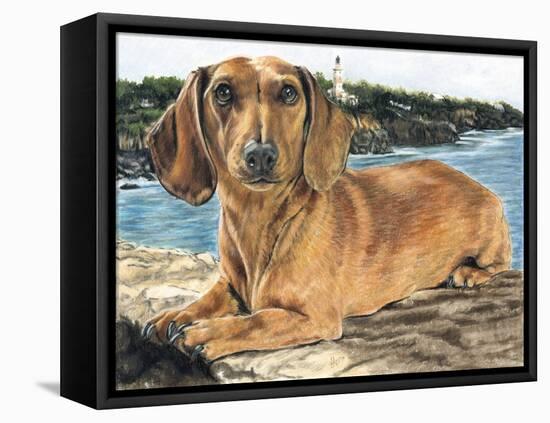 Dachshund in the Bay-Barbara Keith-Framed Stretched Canvas