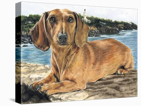 Dachshund in the Bay-Barbara Keith-Stretched Canvas