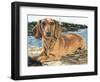 Dachshund in the Bay-Barbara Keith-Framed Giclee Print