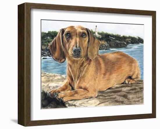 Dachshund in the Bay-Barbara Keith-Framed Giclee Print