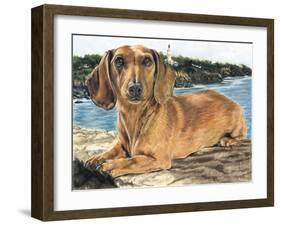 Dachshund in the Bay-Barbara Keith-Framed Giclee Print