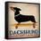 Dachshund Longboards-Ryan Fowler-Framed Stretched Canvas