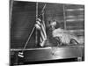 Dachshund Looking At American Flag-Bettmann-Mounted Photographic Print