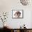 Dachshund Looking Away-Ted Horowitz-Framed Stretched Canvas displayed on a wall